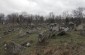 Jewish cemetery in Orhei, one of the biggest in Bessarabia. Located on a hill and partially fenced, it counts several thousand gravestones today. Most of them date from the 18th century. © Markel Redondo - Yahad-In Unum